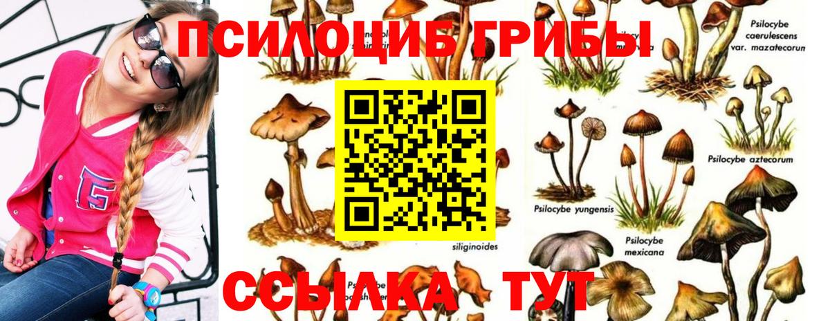 Псилоцибиновые грибы прущие грибы Южно-Сахалинск