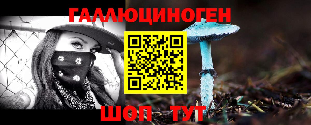 Псилоцибиновые грибы Psilocybine cubensis  Вход с VPN  Южно-Сахалинск 
